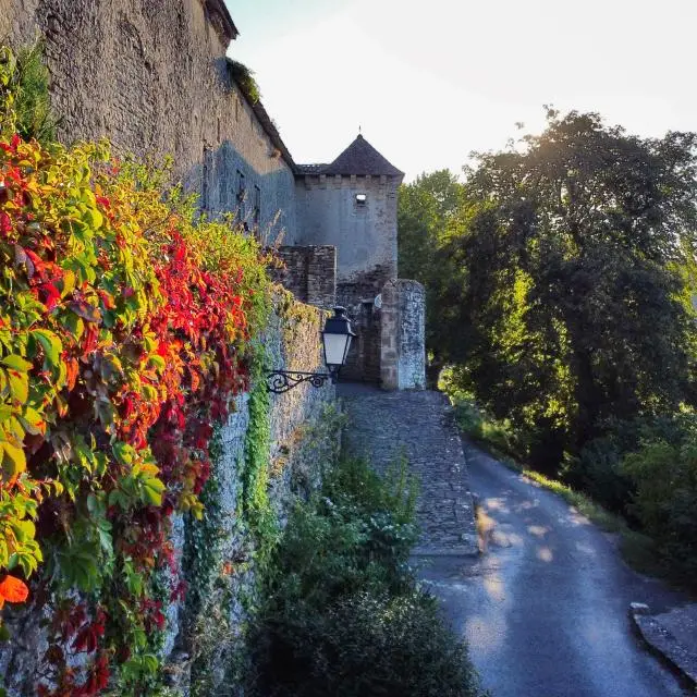 Chateau de Camon 09
