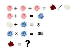 Urban Game Rose Camon