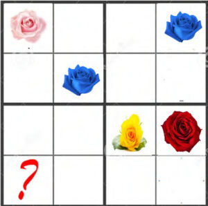 Urban Game Rose Camon